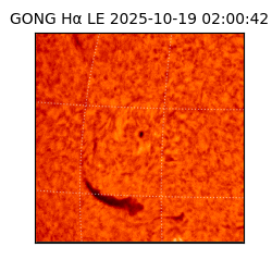 gong - 2025-10-19T02:00:42