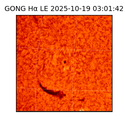 gong - 2025-10-19T03:01:42
