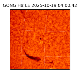 gong - 2025-10-19T04:00:42