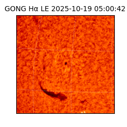 gong - 2025-10-19T05:00:42