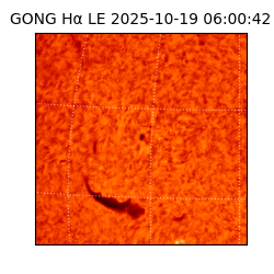 gong - 2025-10-19T06:00:42