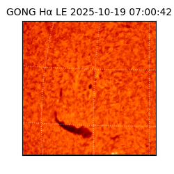 gong - 2025-10-19T07:00:42