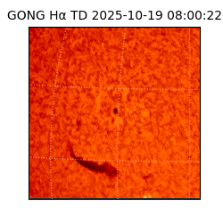 gong - 2025-10-19T08:00:22