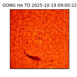 gong - 2025-10-19T09:00:22