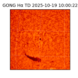 gong - 2025-10-19T10:00:22