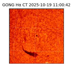 gong - 2025-10-19T11:00:42