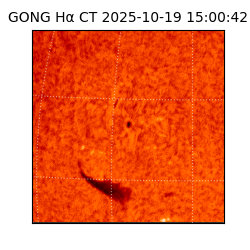 gong - 2025-10-19T15:00:42