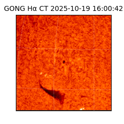 gong - 2025-10-19T16:00:42