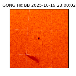 gong - 2025-10-19T23:00:02