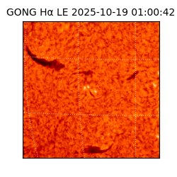 gong - 2025-10-19T01:00:42