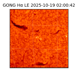 gong - 2025-10-19T02:00:42