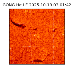 gong - 2025-10-19T03:01:42