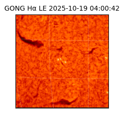 gong - 2025-10-19T04:00:42