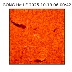 gong - 2025-10-19T06:00:42