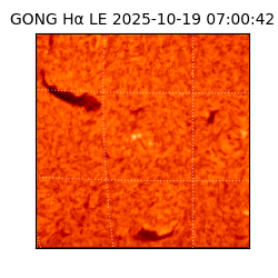 gong - 2025-10-19T07:00:42