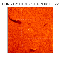 gong - 2025-10-19T08:00:22