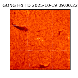 gong - 2025-10-19T09:00:22
