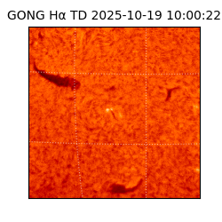 gong - 2025-10-19T10:00:22