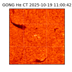 gong - 2025-10-19T11:00:42