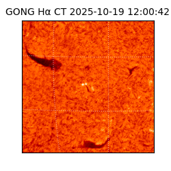 gong - 2025-10-19T12:00:42