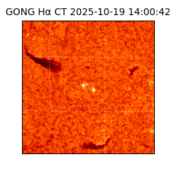 gong - 2025-10-19T14:00:42