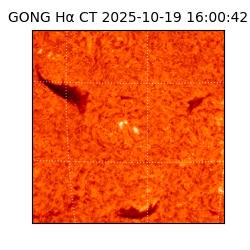 gong - 2025-10-19T16:00:42