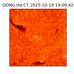 gong - 2025-10-19T19:00:42