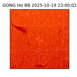 gong - 2025-10-19T23:00:02