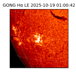 gong - 2025-10-19T01:00:42