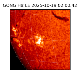 gong - 2025-10-19T02:00:42