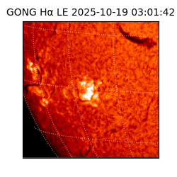 gong - 2025-10-19T03:01:42
