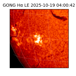 gong - 2025-10-19T04:00:42