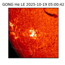 gong - 2025-10-19T05:00:42