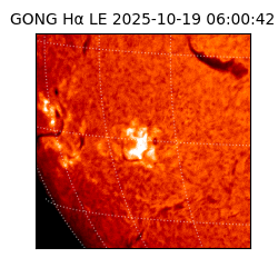 gong - 2025-10-19T06:00:42