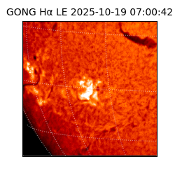gong - 2025-10-19T07:00:42