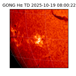 gong - 2025-10-19T08:00:22