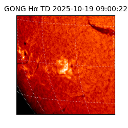 gong - 2025-10-19T09:00:22