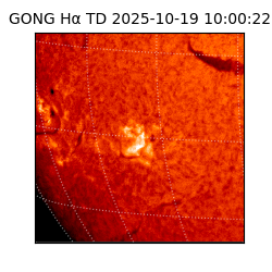 gong - 2025-10-19T10:00:22
