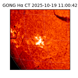 gong - 2025-10-19T11:00:42