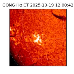 gong - 2025-10-19T12:00:42
