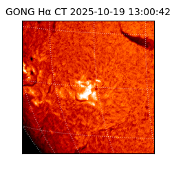 gong - 2025-10-19T13:00:42