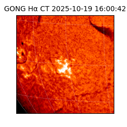 gong - 2025-10-19T16:00:42