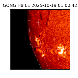 gong - 2025-10-19T01:00:42