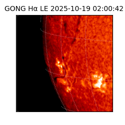 gong - 2025-10-19T02:00:42