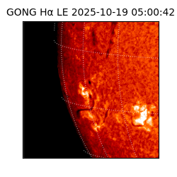 gong - 2025-10-19T05:00:42