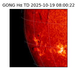 gong - 2025-10-19T08:00:22