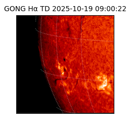 gong - 2025-10-19T09:00:22