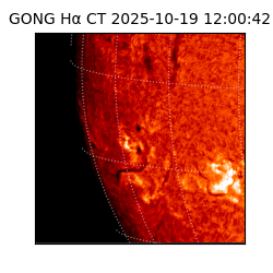 gong - 2025-10-19T12:00:42