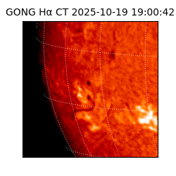 gong - 2025-10-19T19:00:42