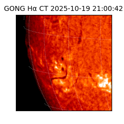 gong - 2025-10-19T21:00:42